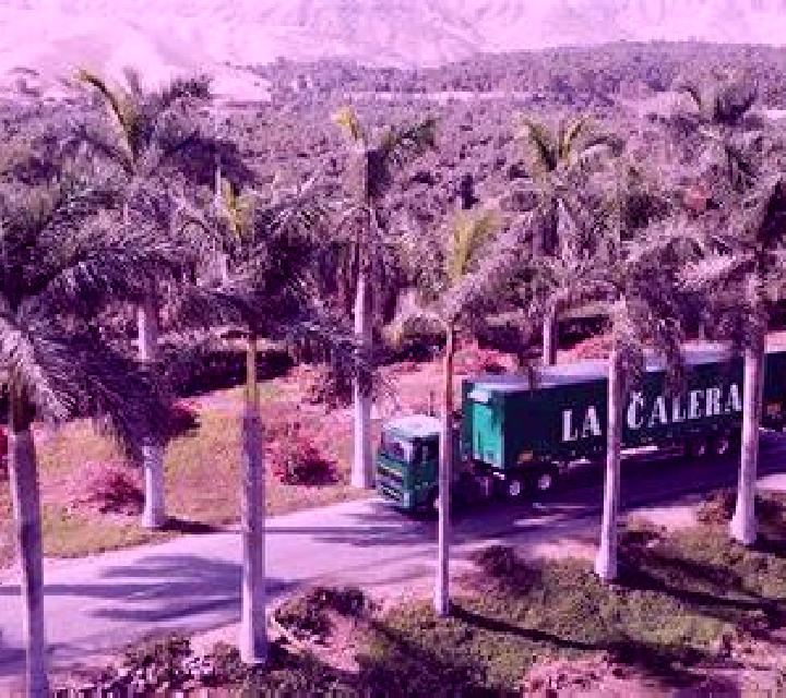 Abril 3 Alcabon escort