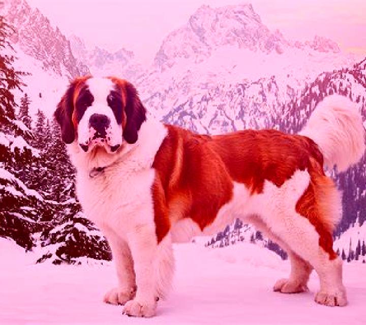 Abril 3 Valluercanes escort