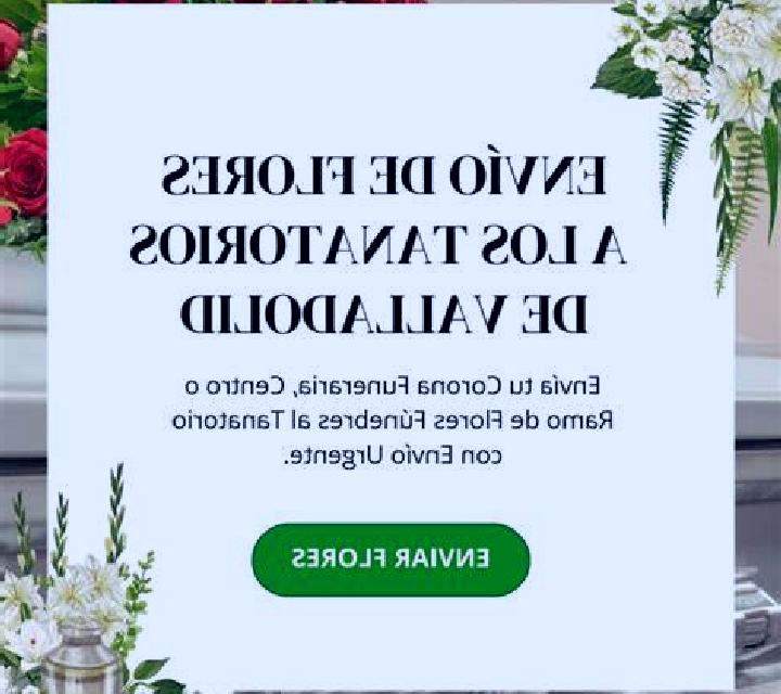 Adriana 2 El Grao escort