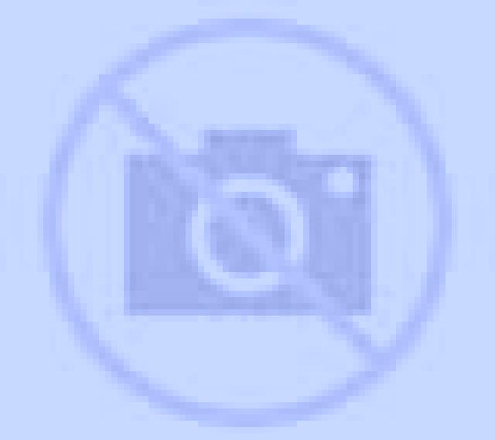 Adriana Calvia escort