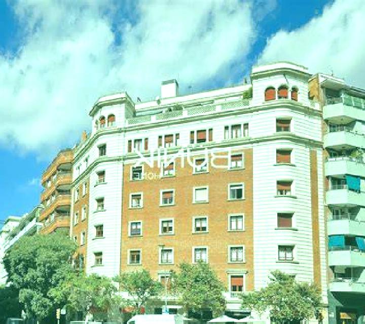 Alba Ludiente escort
