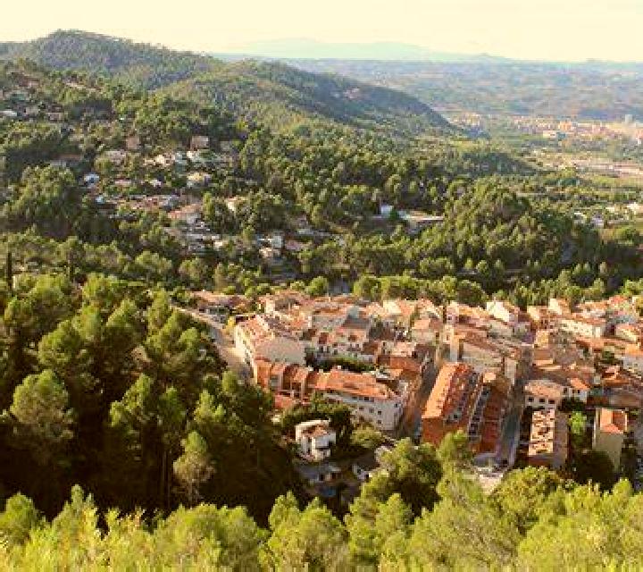 Alba Olmedilla de Alarcon escort