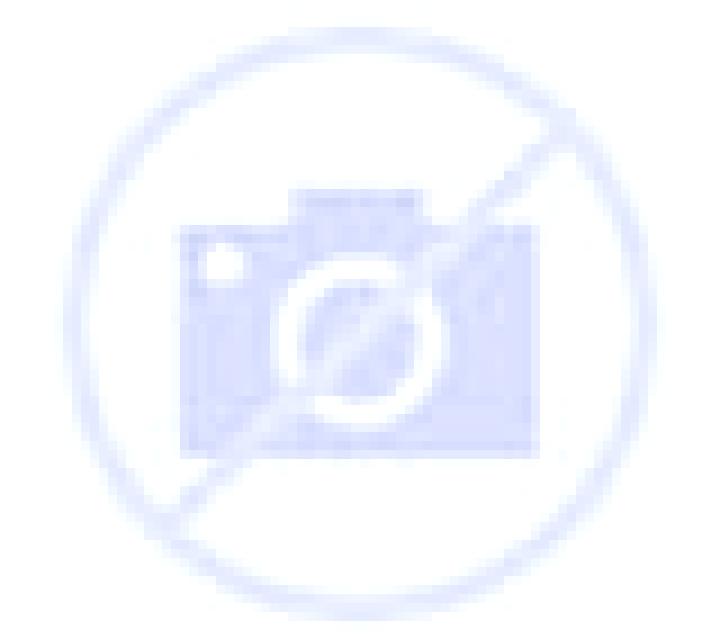 Alejandra 3 Pozalmuro escort