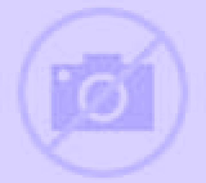 Alejandra Torreblanca escort
