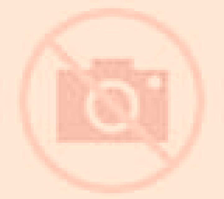 Amanda 3 Sanet y Negrals escort