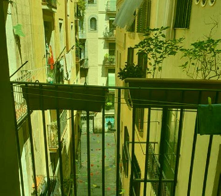Amaya Sot de Ferrer escort