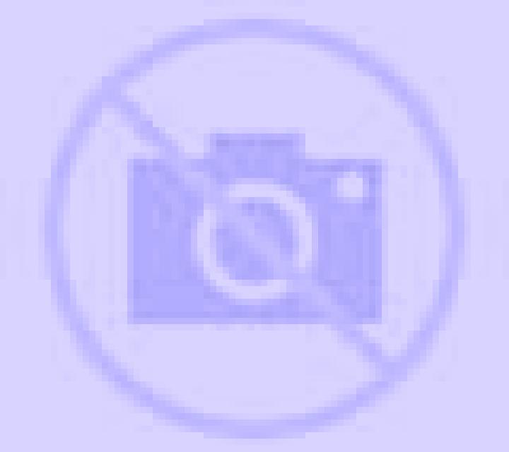Andrea 2 Talamantes escort
