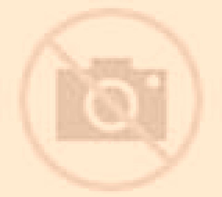 Andrea 3 Cuntis escort