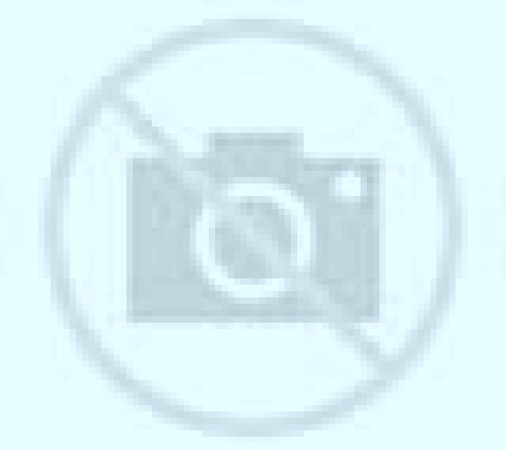 Andrea 3 Maials escort