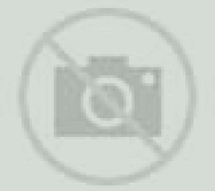 Andrea Alcoletge escort