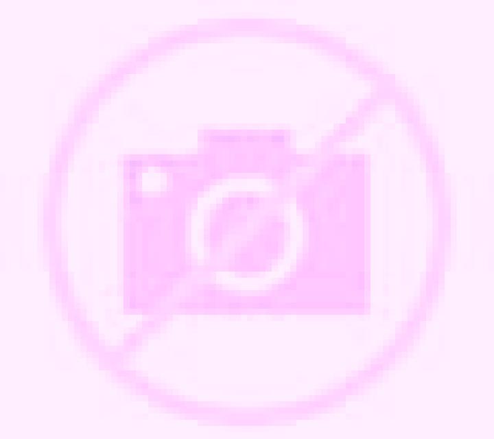 Andrea Almussafes escort