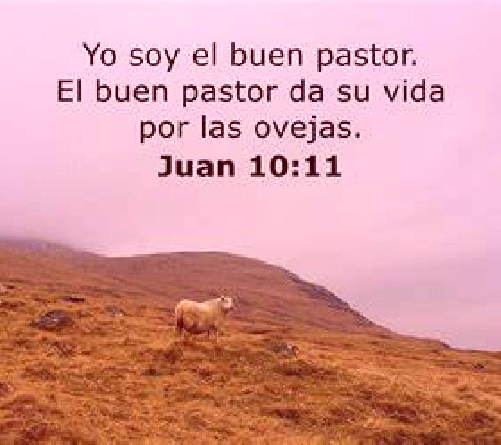 Andrea el Bon Pastor escort