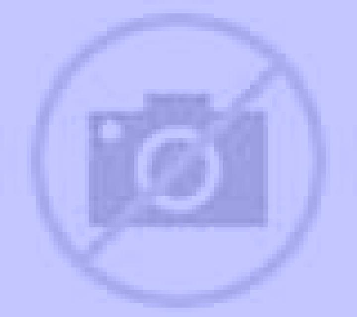 Andrea El Castellar escort