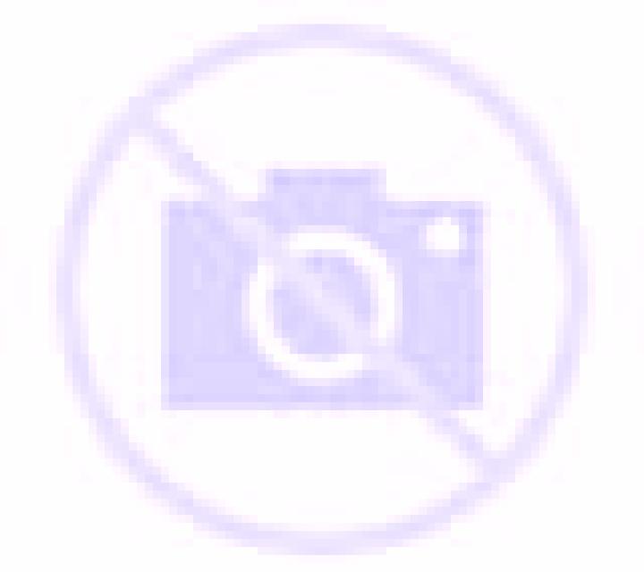 Antonella Belorado escort