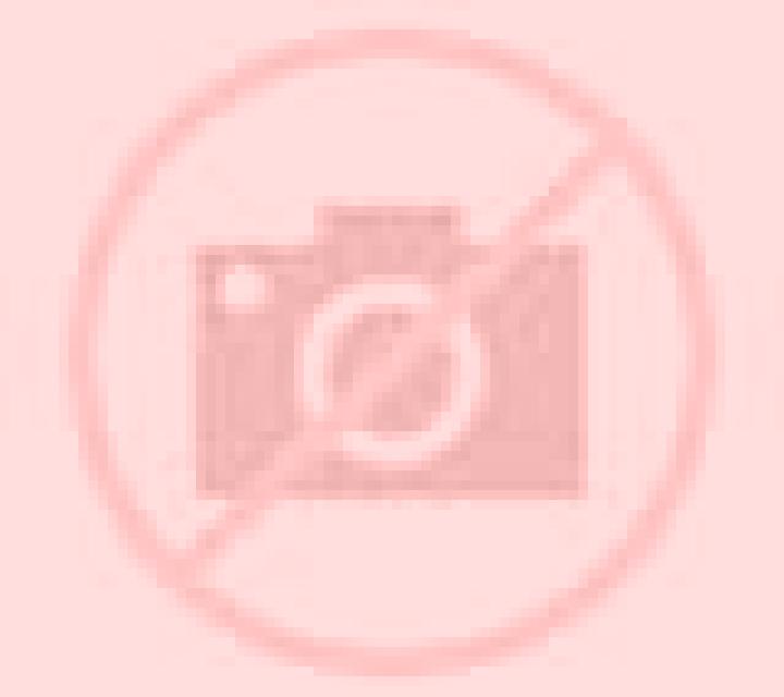 Antonella Coria escort