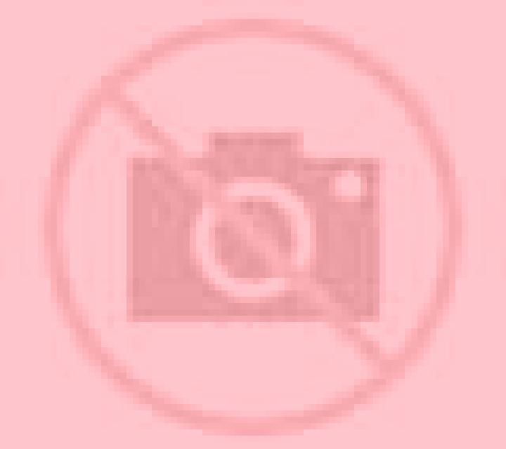 Antonella Medina del Campo escort