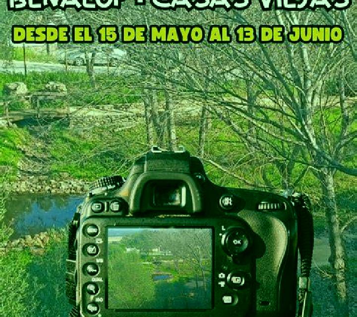 Aurora 3 Casas de Don Pedro escort