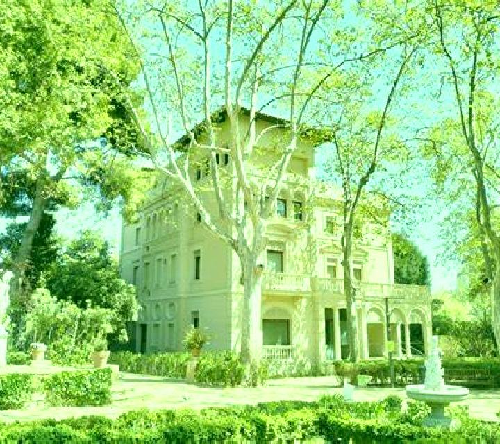 Aurora Flix escort