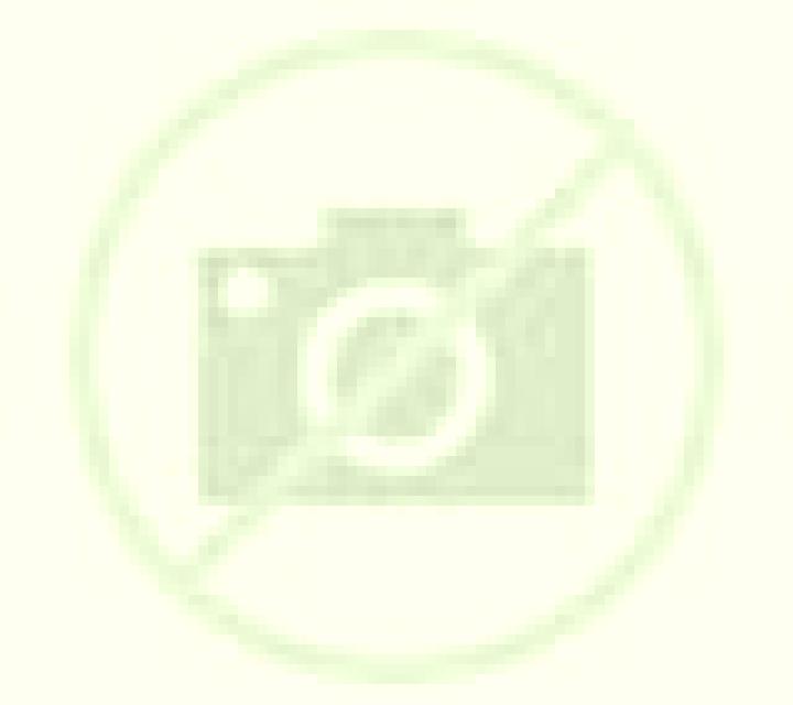 Aurora Novillas escort