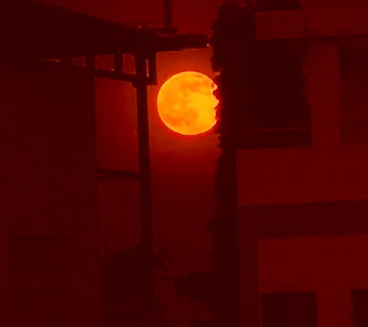 Beatriz 3 Benifairo de les Valls escort