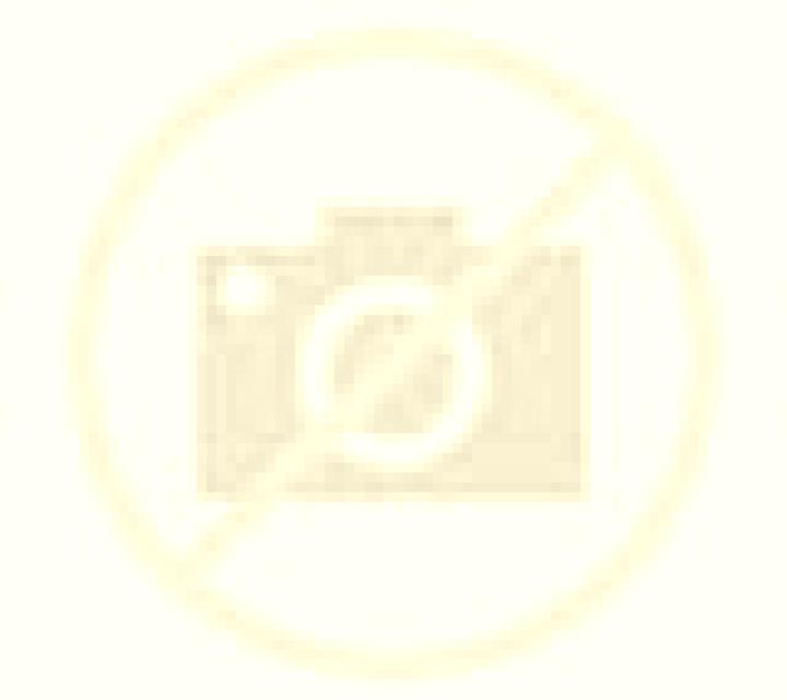Beatriz Arriate escort