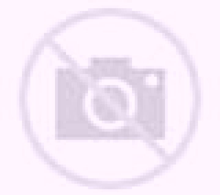 Beatriz Estivella escort