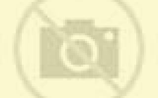 Beatriz Justicia escort