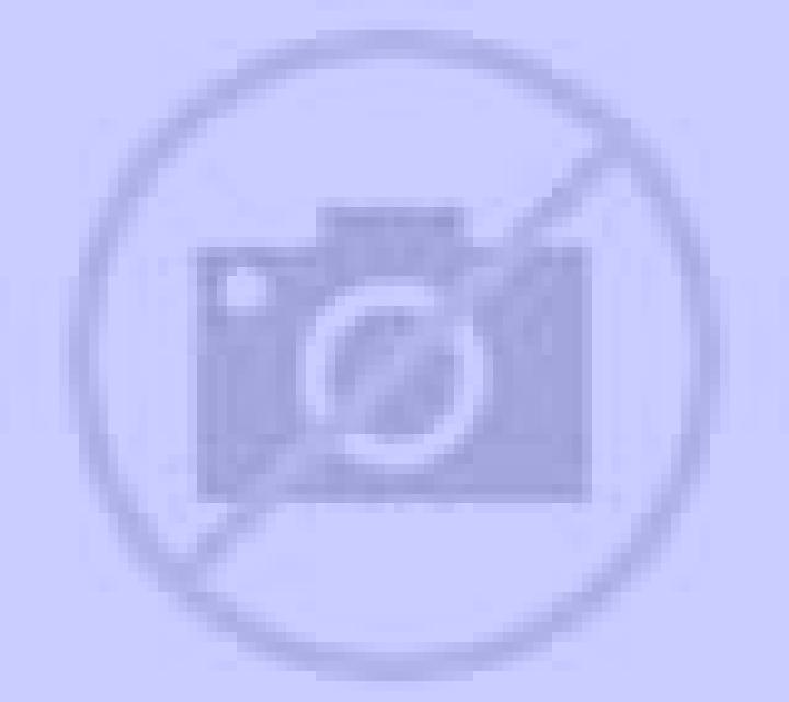 Beatriz Morales de Campos escort