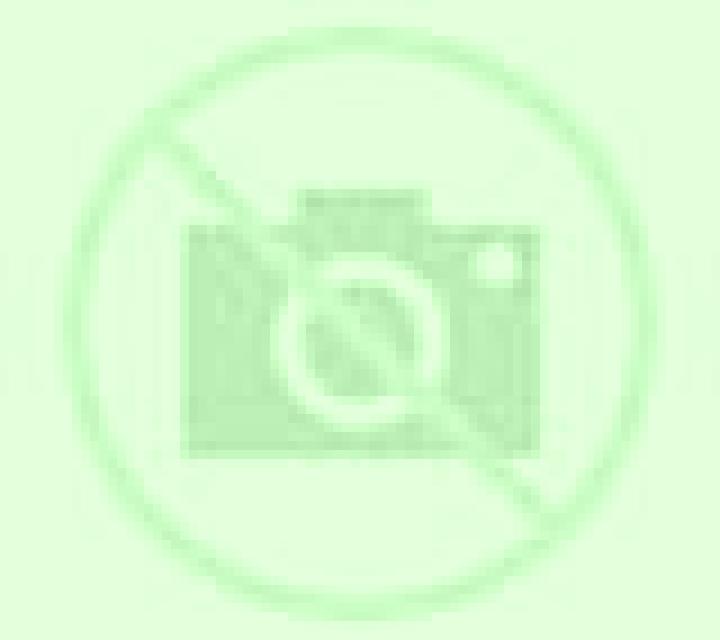 Beatriz Plan escort