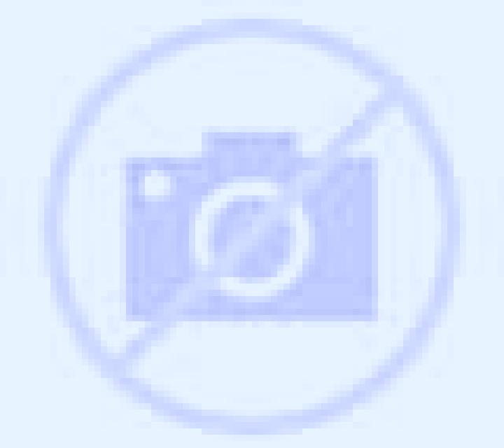 Beatriz Rojas escort