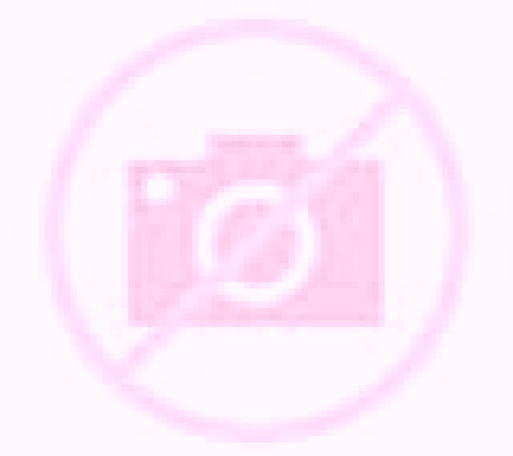 Bianca Pujalt escort