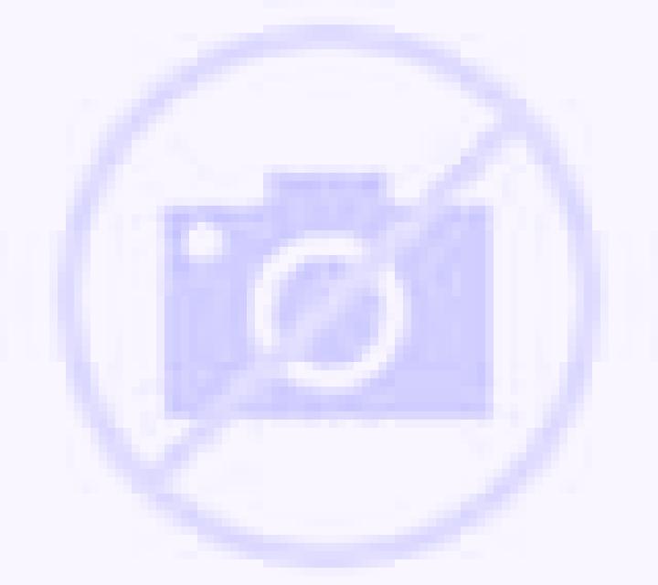 Bianca Terradillos escort