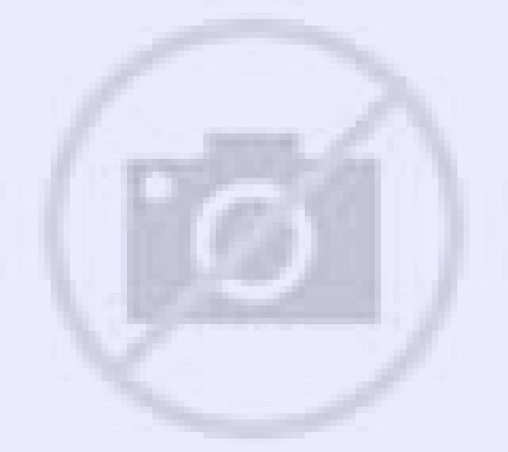 Camila 2 Bogarra escort