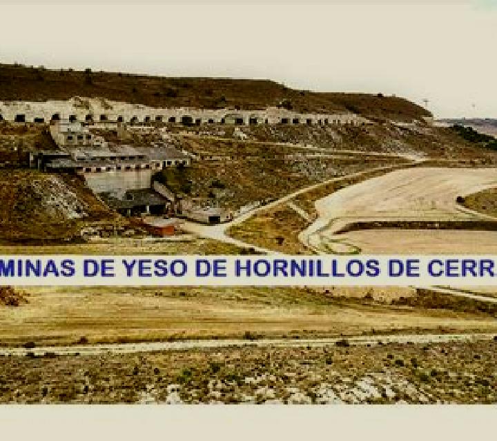 Camila Hornillos de Cerrato escort
