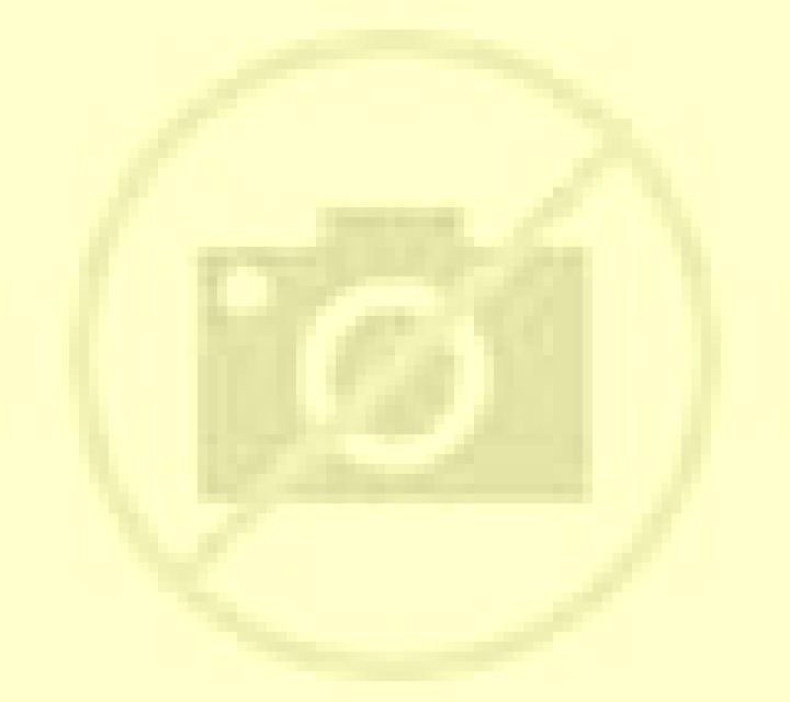Carmen Valderrodrigo escort