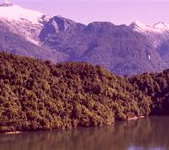 Cayetana 2 Horta escort