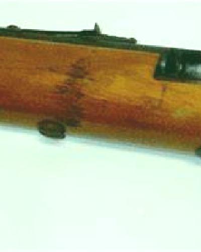 Cayetana 3 Malva escort