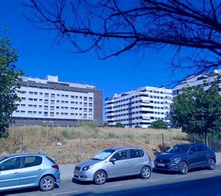 Cayetana Hontecillas escort