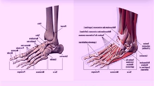 Cecilia 3 Villabaruz de Campos escort