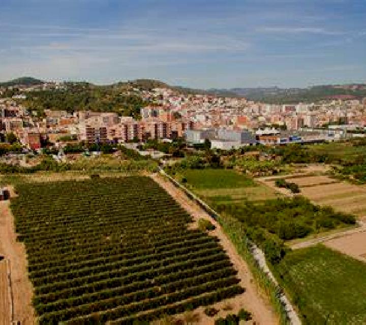 Cielo 3 Villa del Prado escort