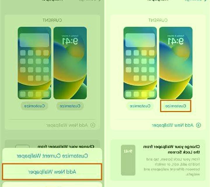 Cielo Vallibona escort