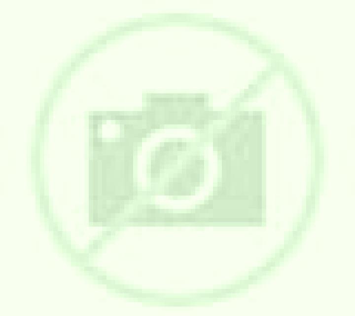 Claudia Celanova escort