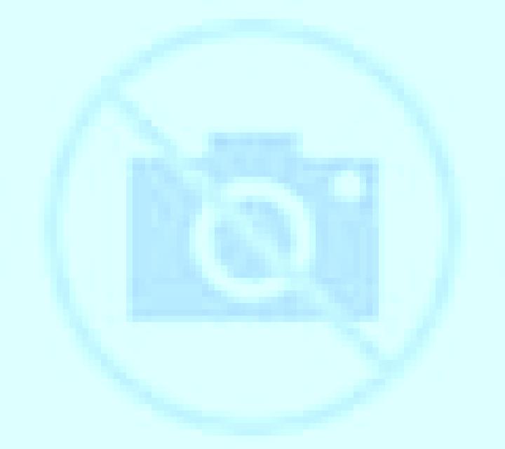 Cristina Galvez escort