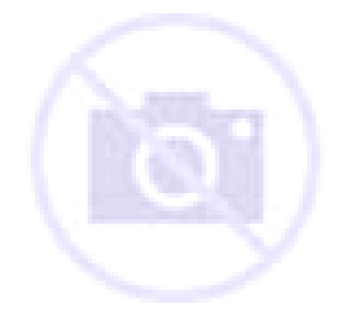 Daniela 3 Cesuras escort