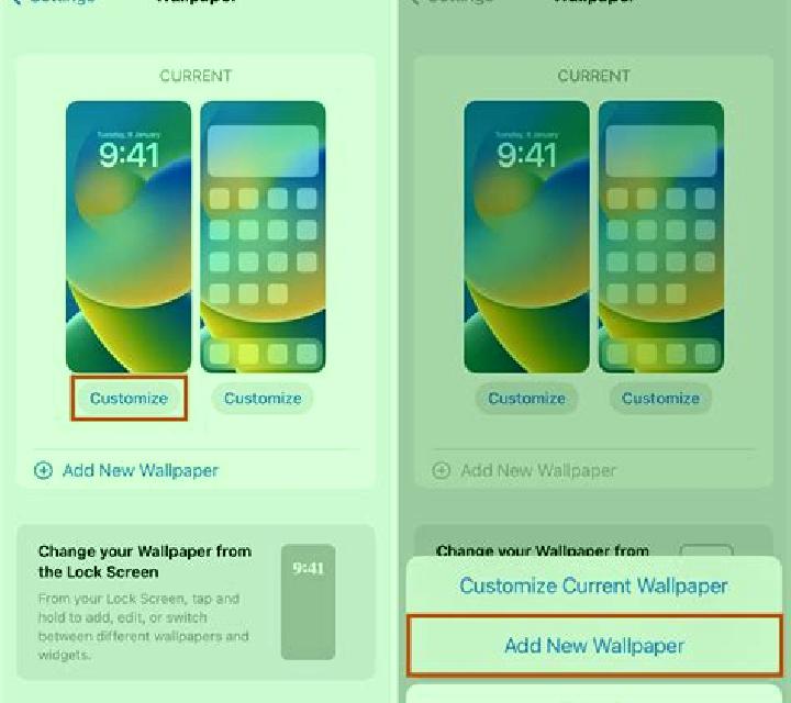 Daniela Eulate escort