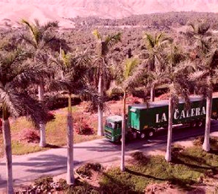 Diana 3 Caleruela escort