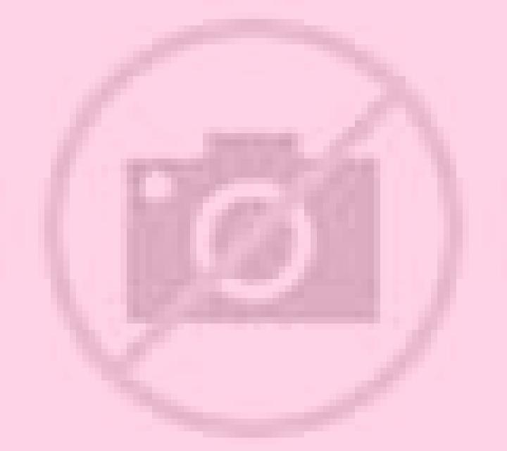 Diana Mataporquera escort