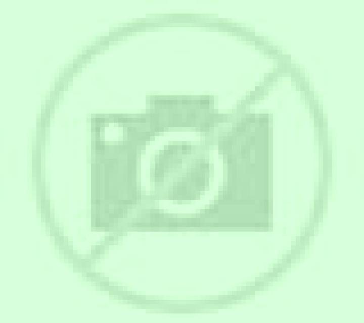 Diana Montejo escort