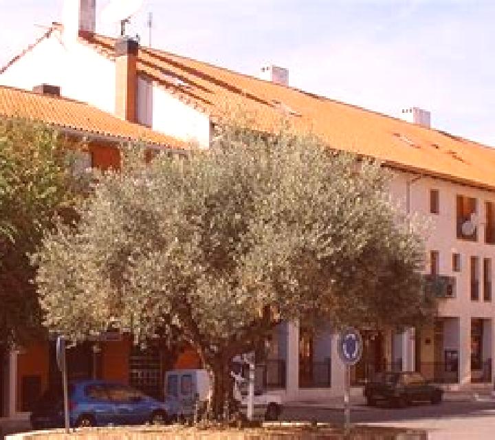 Estrella 3 Cangas de Onis escort