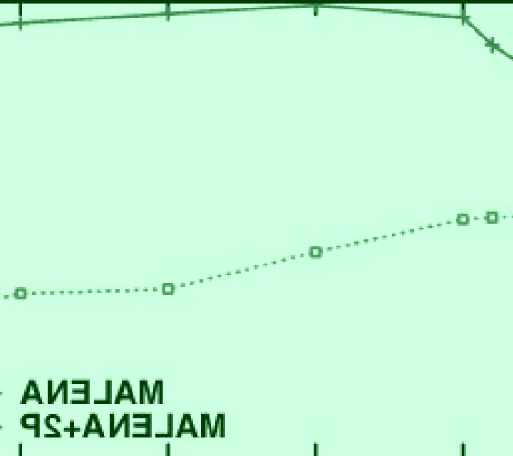Florencia 3 Lerga escort